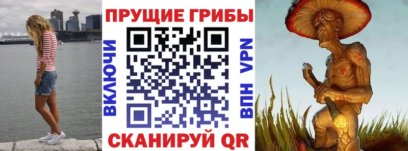Галлюциногенные грибы GOLDEN TEACHER Петушки